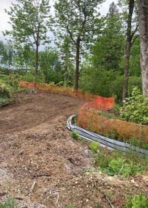 Central Valley installs protective fencing for tree protection